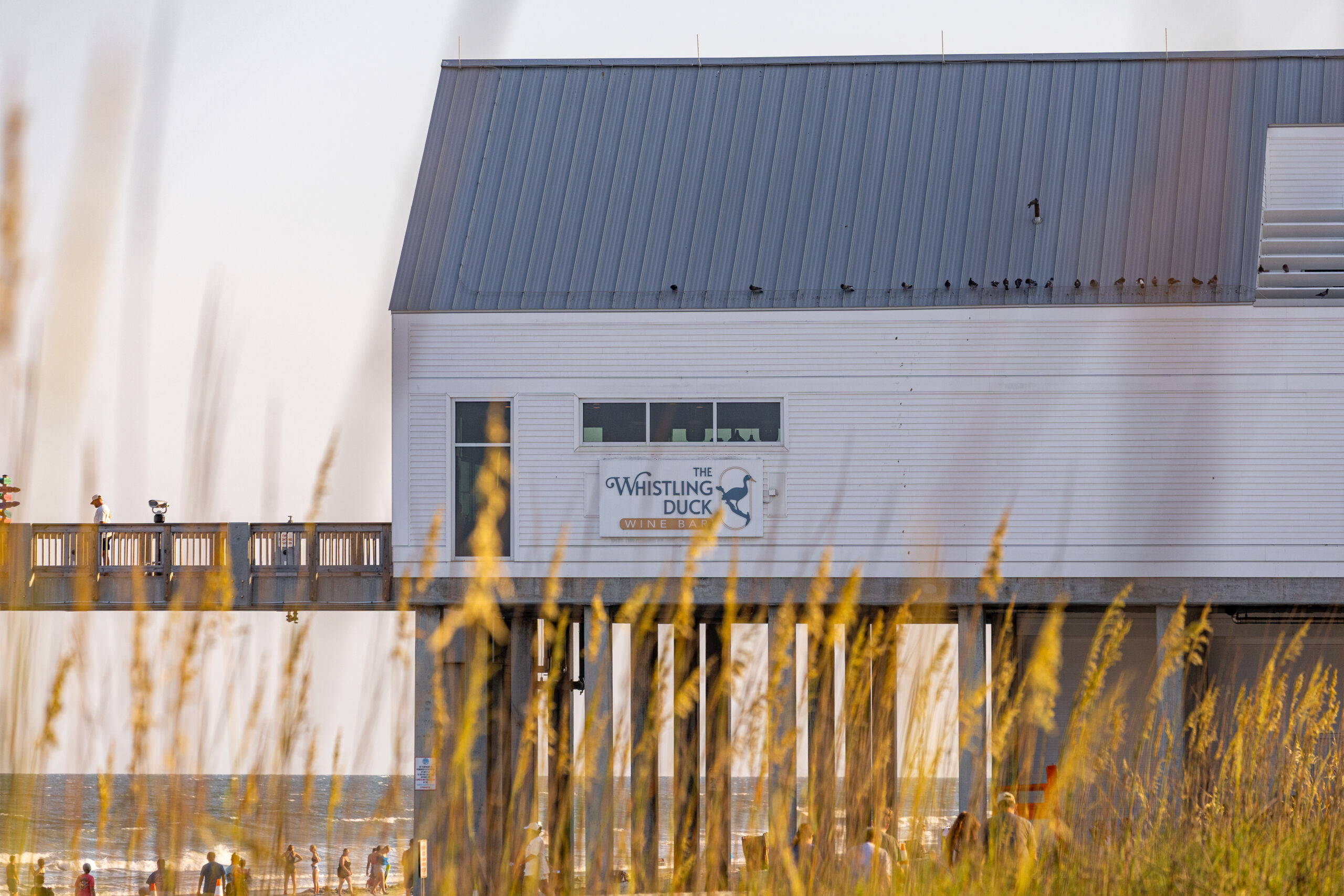 EXTERIOR SHOT TWD